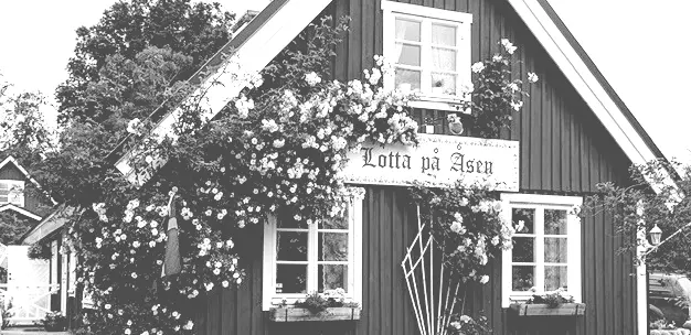 Svartvit bild av gaveln med skylten Lotta på Åsen bland blommande rosor