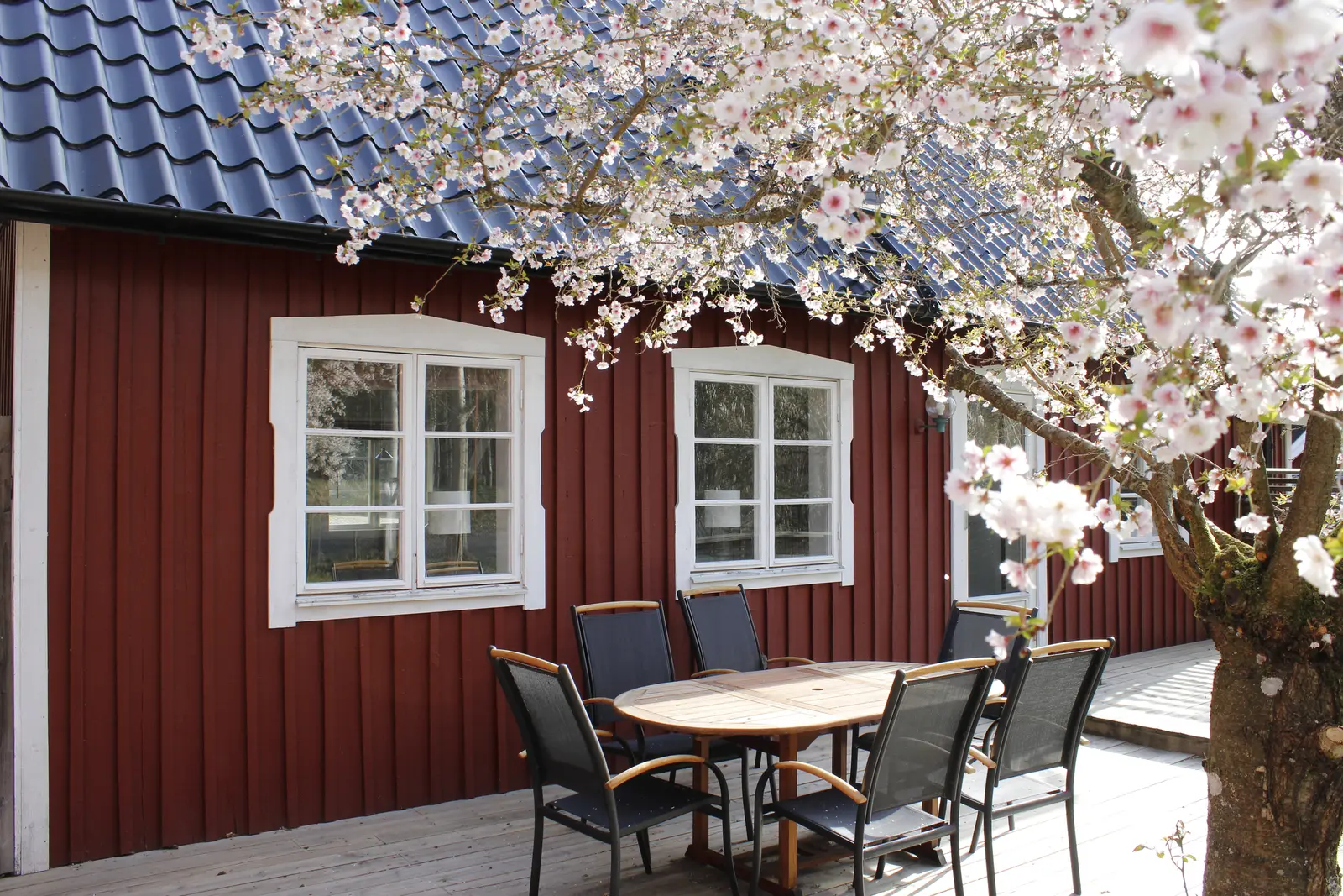 Uteplatsen vid LillaLotta