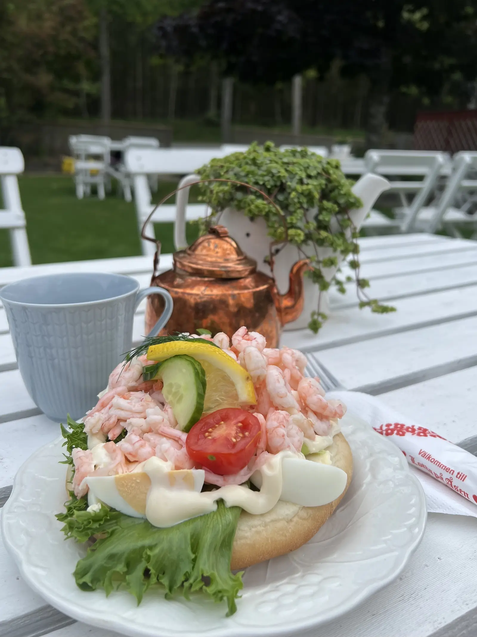 Smörgås med ägg och räkor i trädgården